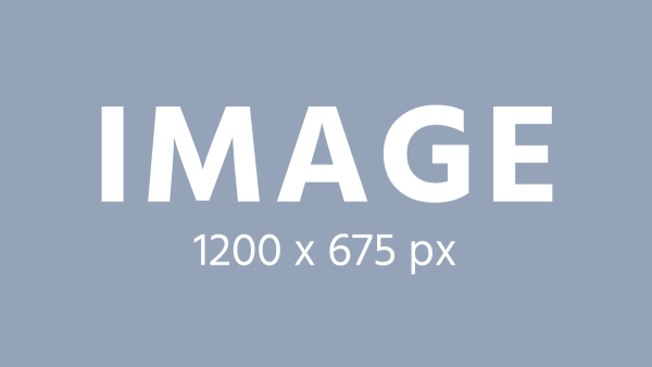 Sed consequat, leo eget bibendum sodales